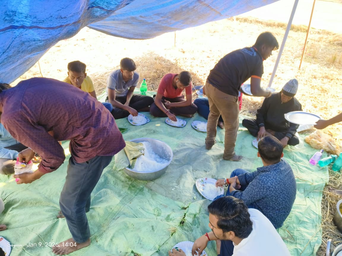 Picnic